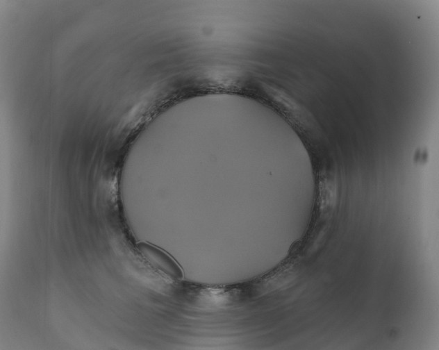 X0000111820613200908131524