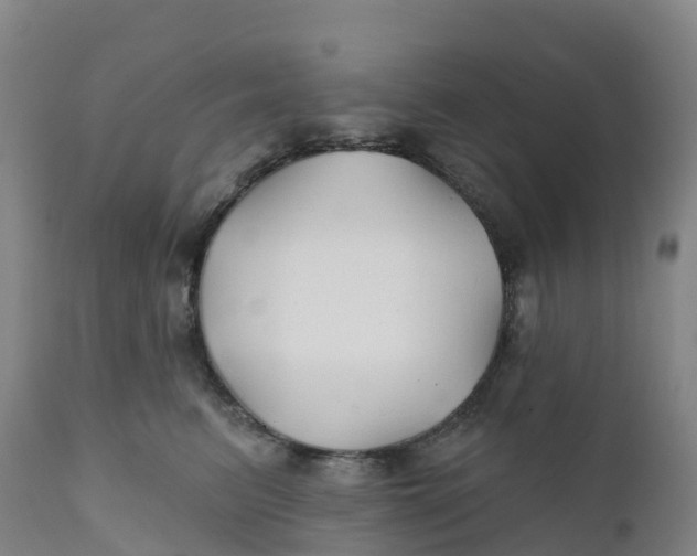 X0000111820615200908131524