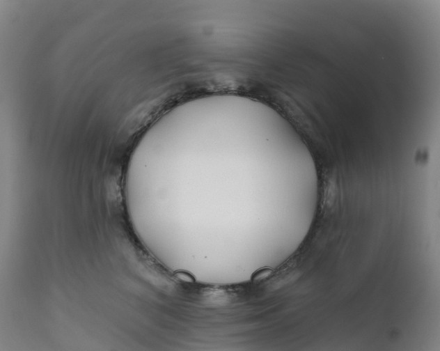 X0000111820616200908131524