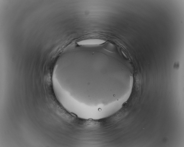 X0000111820617200908131524