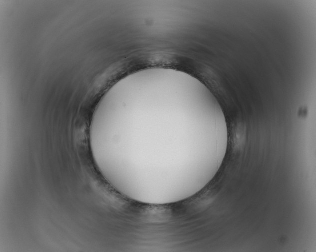 X0000111820619200908131524