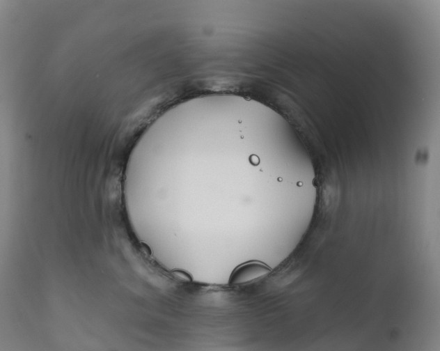 X0000111820620200908131524