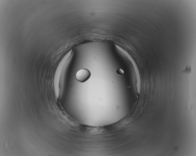 X0000111820621200908131524