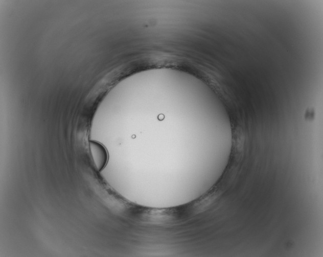 X0000111820622200908131524