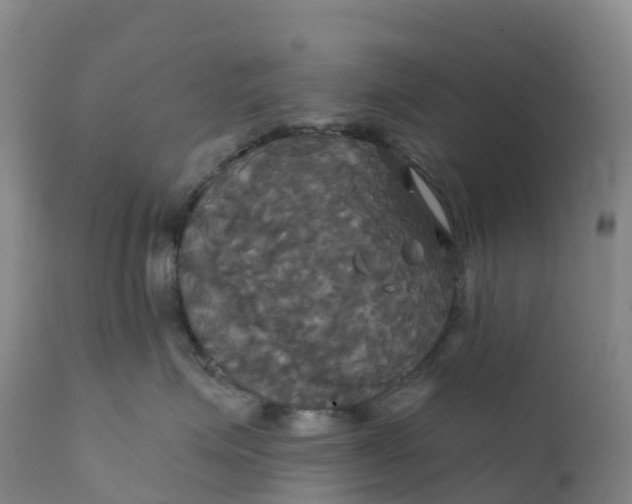 X0000111820623200908131524