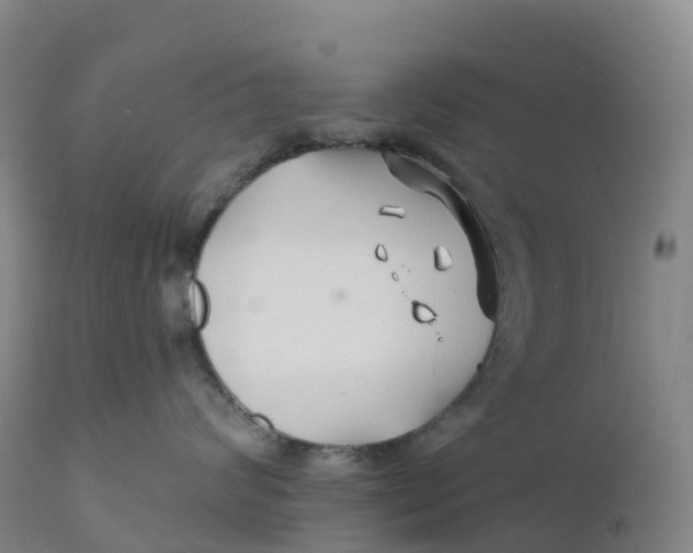 X0000111820624200908131524