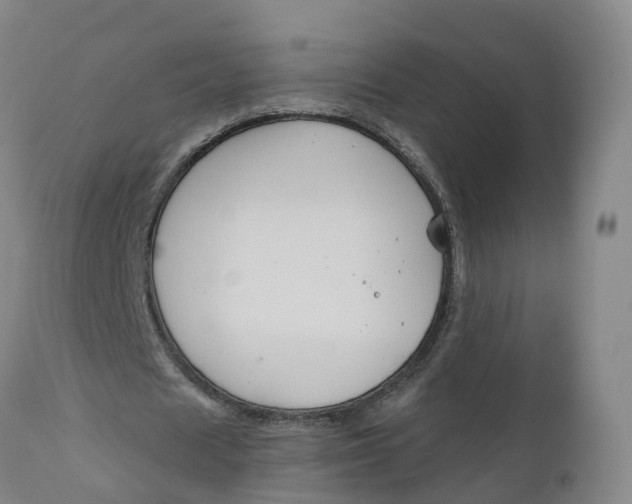 X0000111820625200908131524