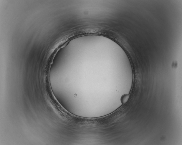 X0000111820626200908131524