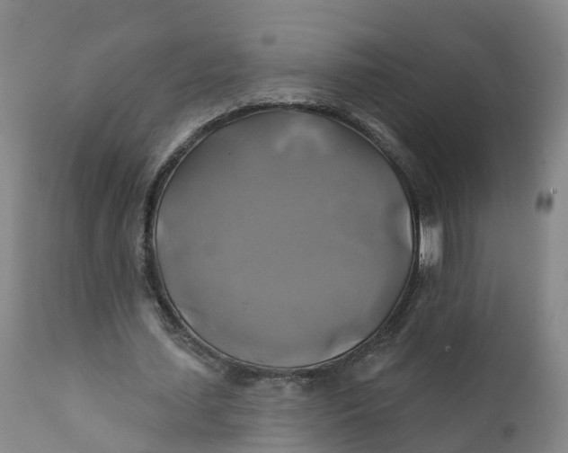 X0000111820627200908131524