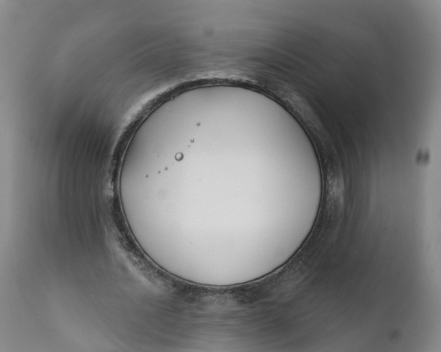 X0000111820628200908131524