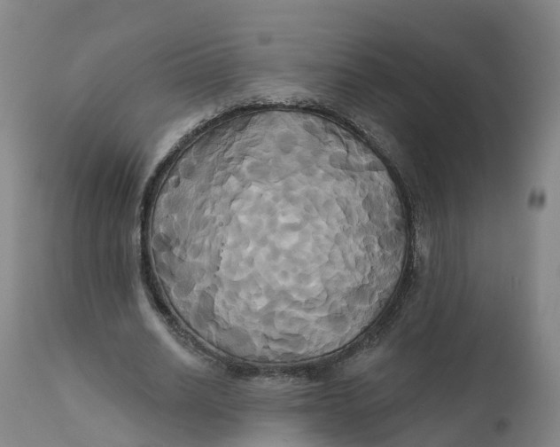 X0000111820630200908131524