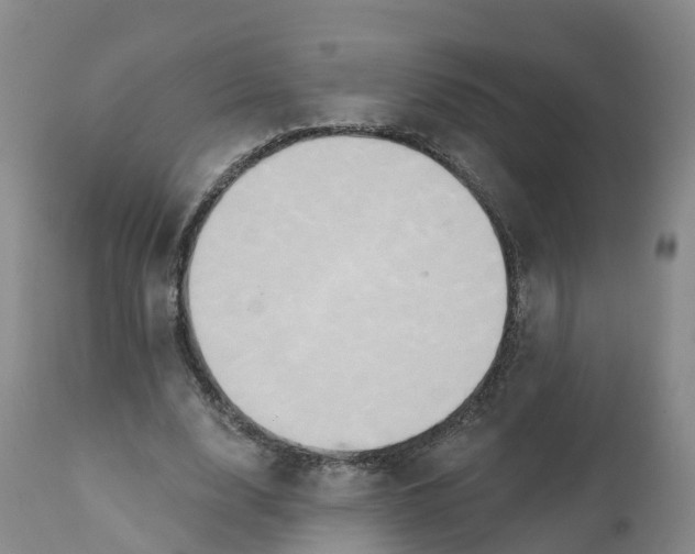 X0000111820632200908131524