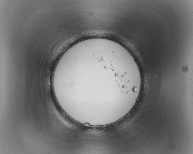 X0000111820633200908131524