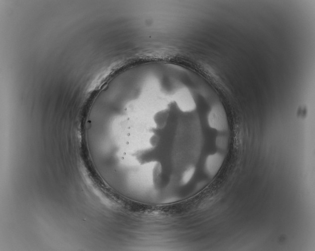 X0000111820634200908131524