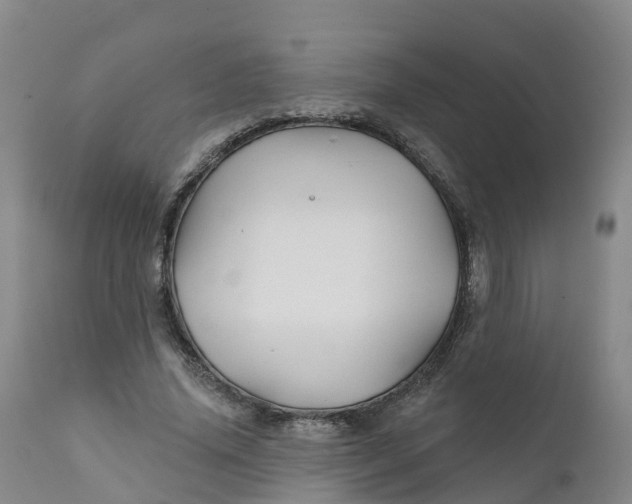 X0000111820636200908131524