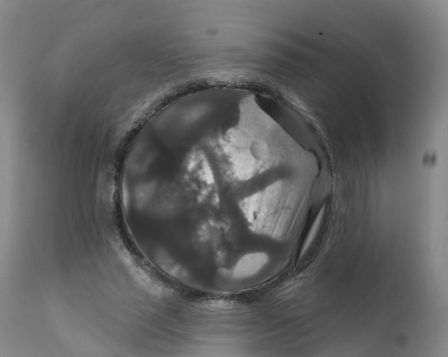 X0000111820637200908131524