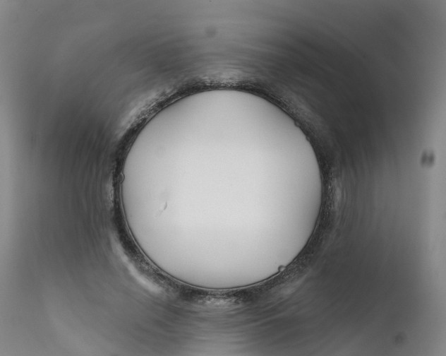 X0000111820638200908131524