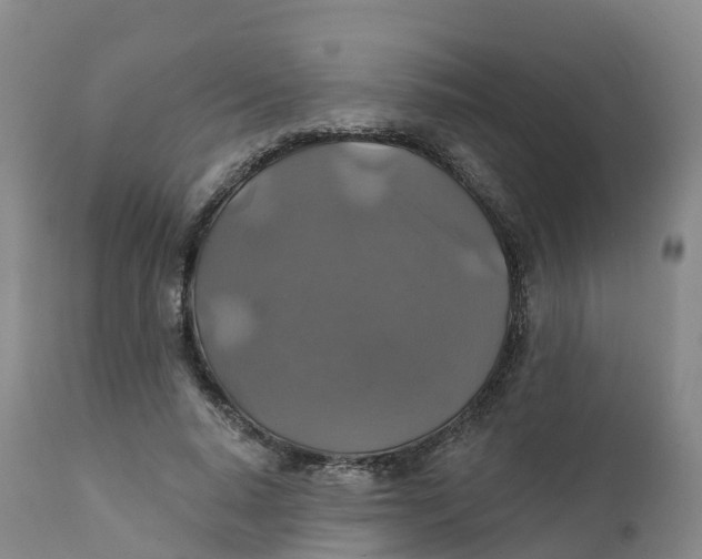 X0000111820640200908131524