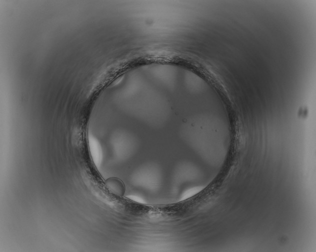 X0000111820641200908131524