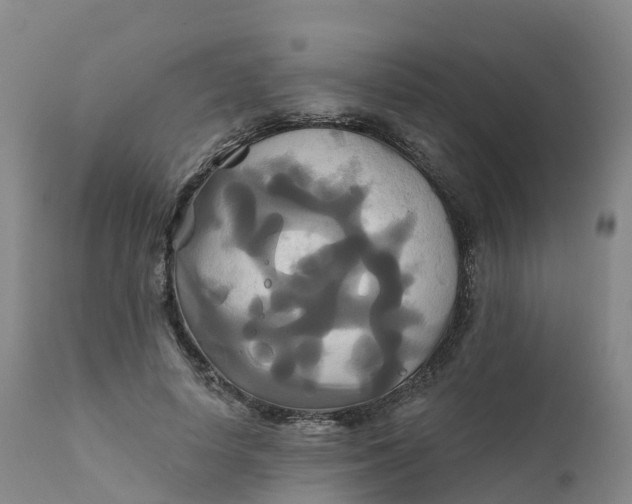 X0000111820642200908131524