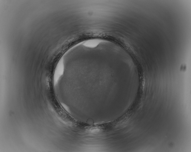 X0000111820643200908131524