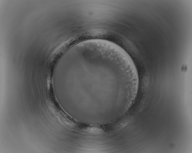 X0000111820644200908131524