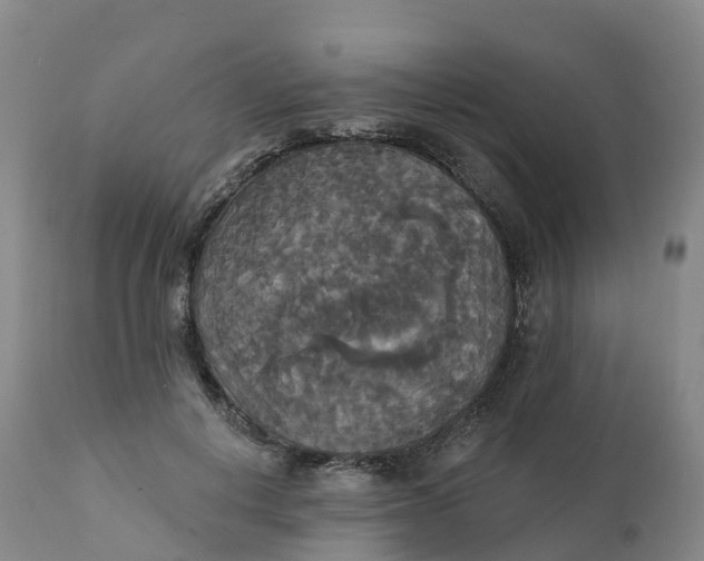 X0000111820648200908131524