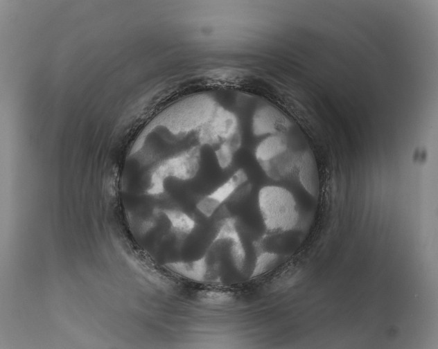 X0000111820649200908131524