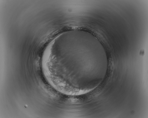 X0000111820650200908131524