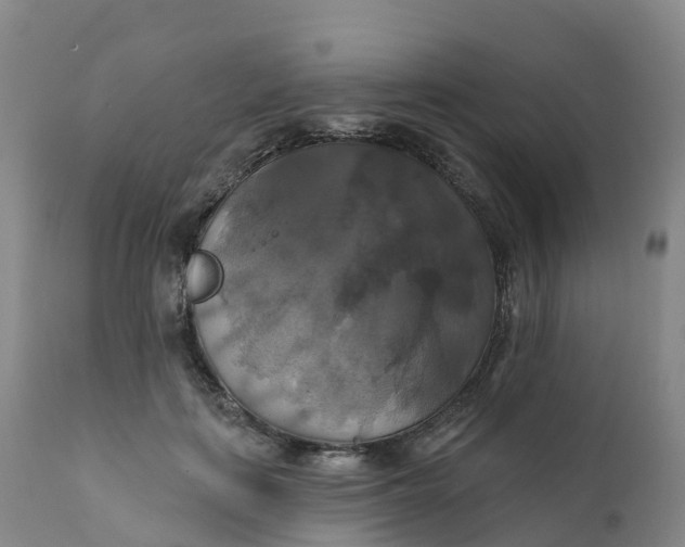 X0000111820651200908131524