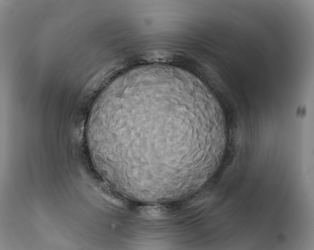 X0000111820652200908131524