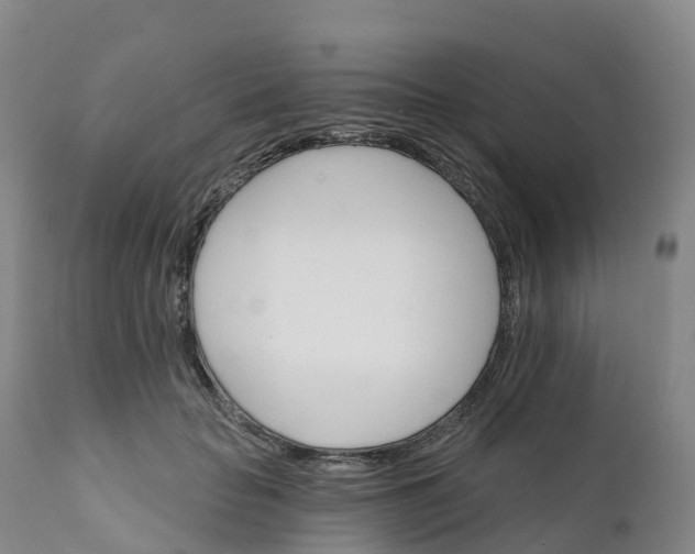 X0000111820653200908131524