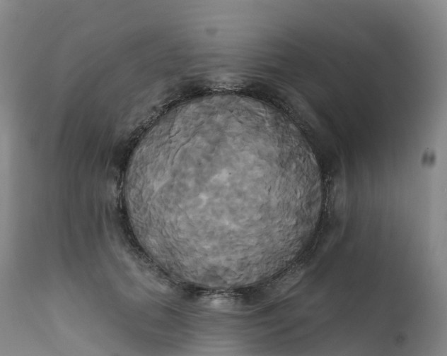 X0000111820655200908131524