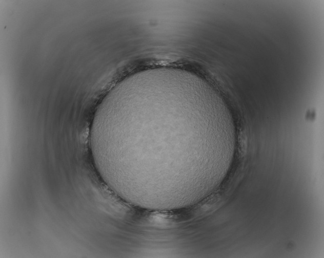 X0000111820657200908131524