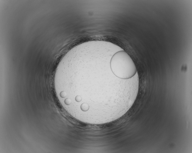 X0000111820658200908131524