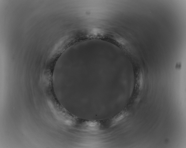 X0000111820659200908131524