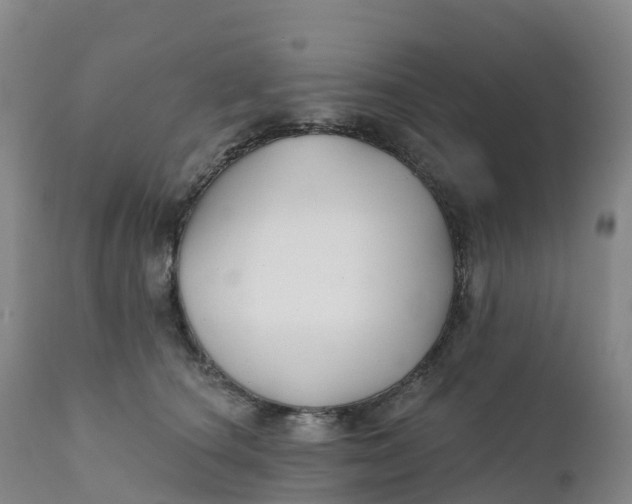 X0000111820660200908131524