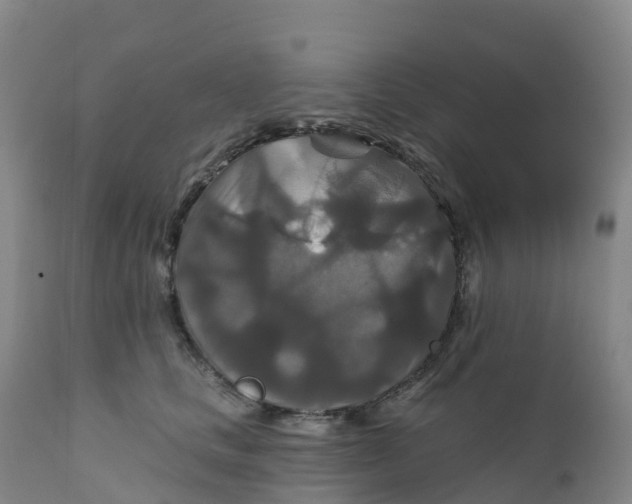 X0000111820661200908131524