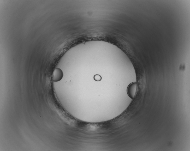 X0000111820662200908131524