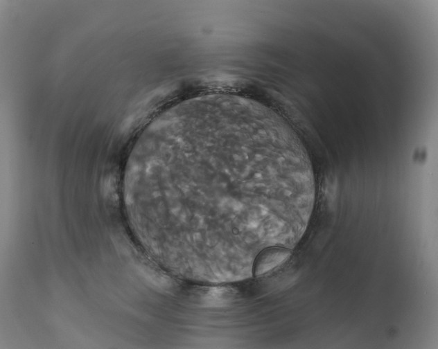 X0000111820663200908131524