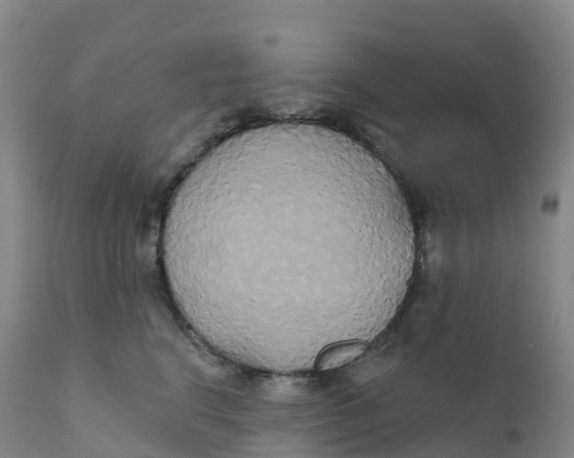 X0000111820664200908131524