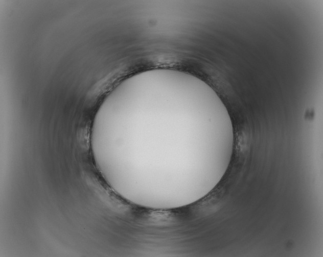 X0000111820666200908131524