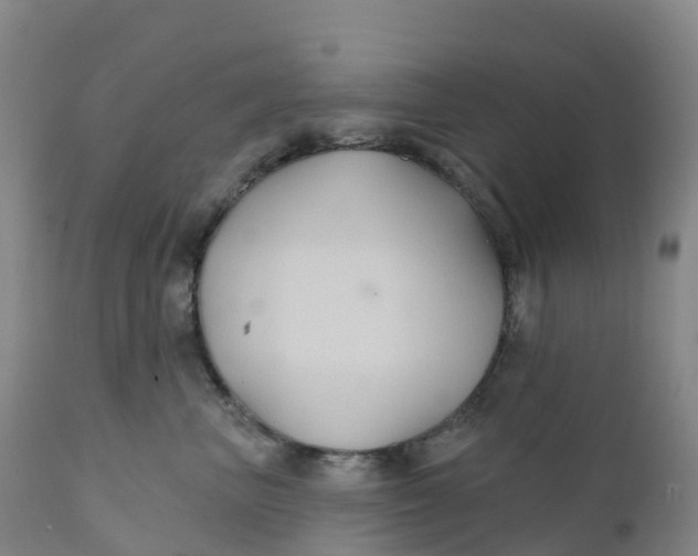 X0000111820667200908131524