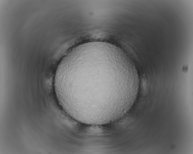 X0000111820668200908131524