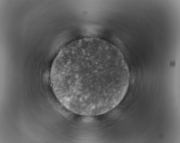 X0000111820669200908131524