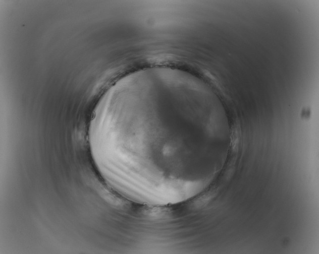 X0000111820670200908131524