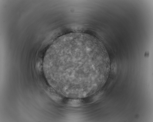 X0000111820671200908131524