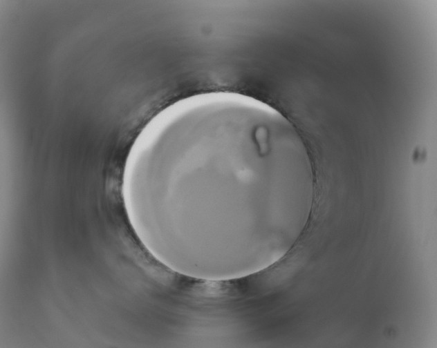 X0000111820672200908131524