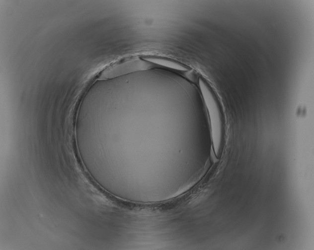 X0000111820673200908131524