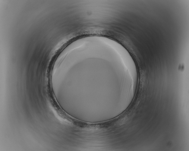 X0000111820674200908131524